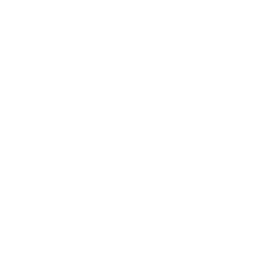 Vista Property Cleanup logo